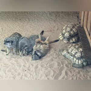 Meet your Posher, Marcie